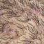 33. Folliculitis on Head Pictures