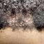 50. Folliculitis on Head Pictures
