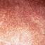 5. The Rash of Rubella in Adults Pictures